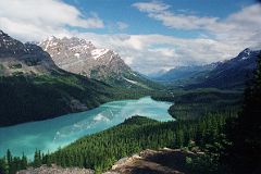 59 Peyto Lake, Caldron Peak, Mount Patterson, Mount Wilson, Mount Murchison In Summer From Near Icefields Parkway.jpg